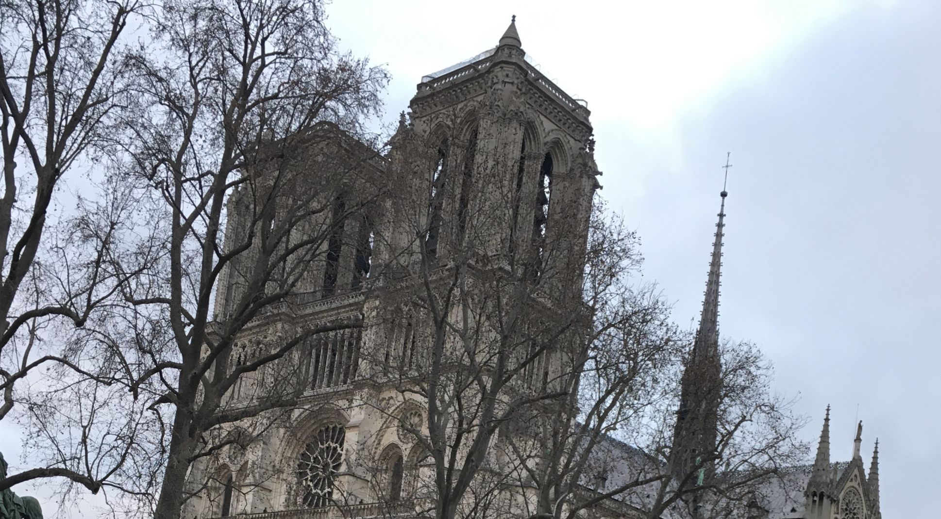 French natives react as restoration of Notre Dame cathedral underway CJ